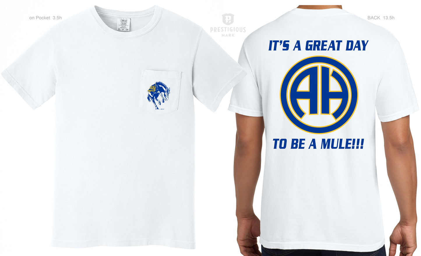 It's a Great Day to be a Mule T-shirt - Youth