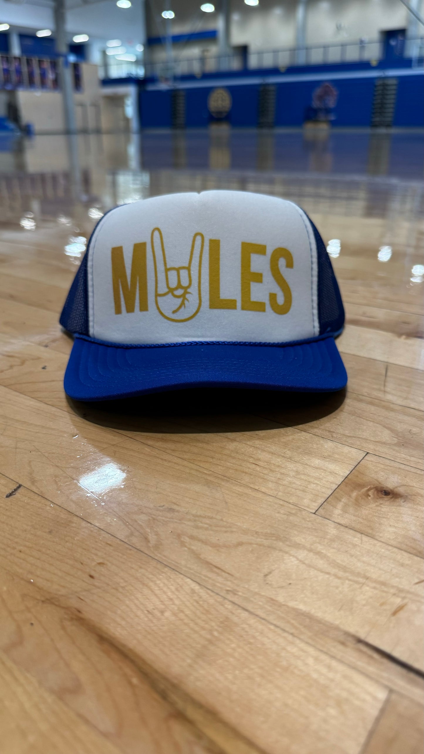 Mules Up Hat - Blue and Gold