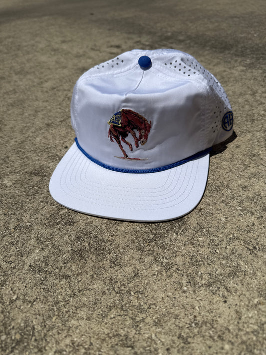 AH Stauch Hat - White
