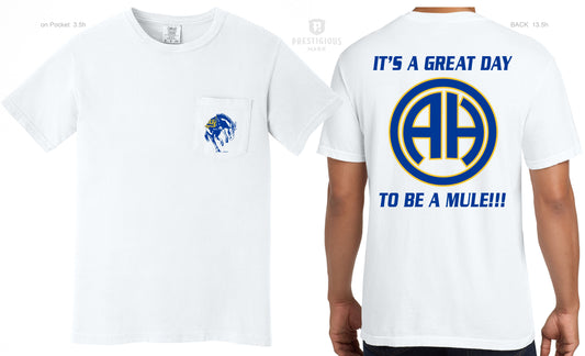 It's a Great Day to be a Mule T-shirt - Youth